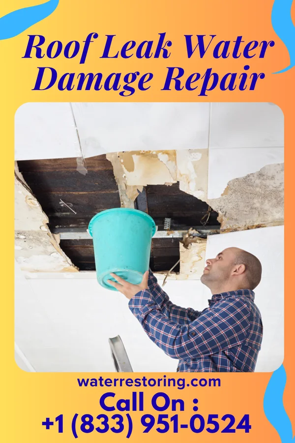 Roof Leak Water Damage Repair in Pine Ridge, FL